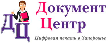 logo burstfly